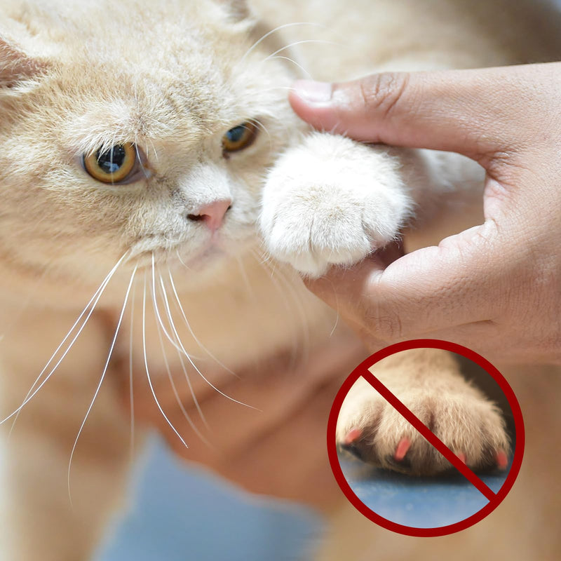 Nail Grinder for Dogs Replacement Kit, 42 Pack Pet Nail Grinder with Sanding Drum Bands Pet Smoother Claw Care Dog Nails Trimmer Tools (1/2 Inch, 80#/120#) - PawsPlanet Australia