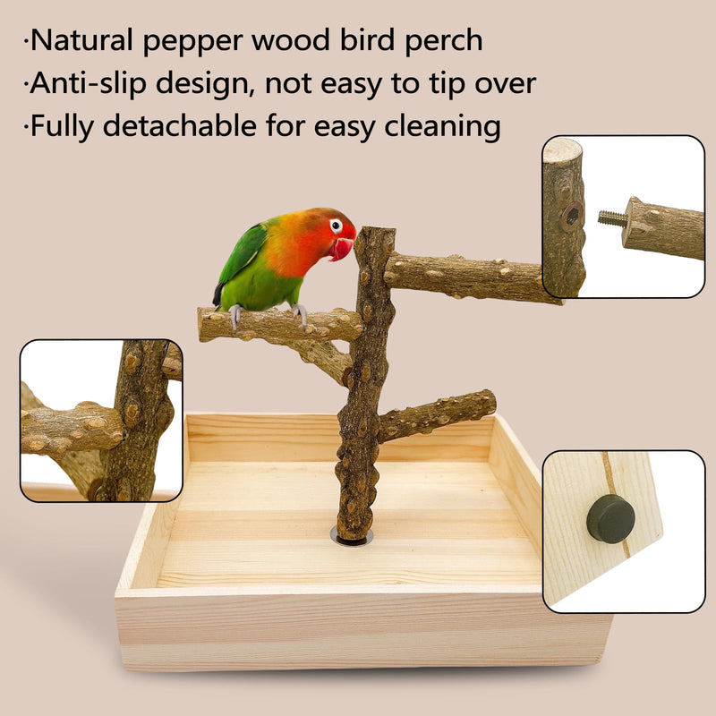 Hamiledyi Bird Perch Stand Playground Parrot Playground Tabletop Natural Wooden Perch PlayStand Platform Toys for Parrots Parakeets Lovebirds Canaries Cockatiels Conure - PawsPlanet Australia