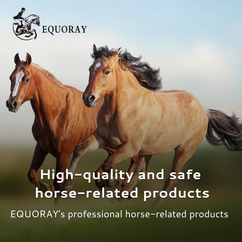 Horse Leg Bandages Professional Horse Standing Wraps Set of 2 for Equine Leg Protection, Support & Recovery, Secure & Easy to Use, Black