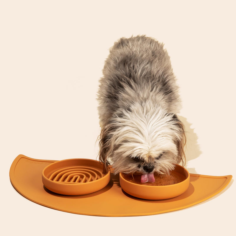 The Slowdown Bowl - Silicone Slow Feeder, Slow Eating, Modern Lick Mat Design, Reduces Gulping, Dishwasher Fit, for All Cat & Dog Breeds, Mealtime Challenge, Small-Spruce Spruce - Rainbow Design - PawsPlanet Australia