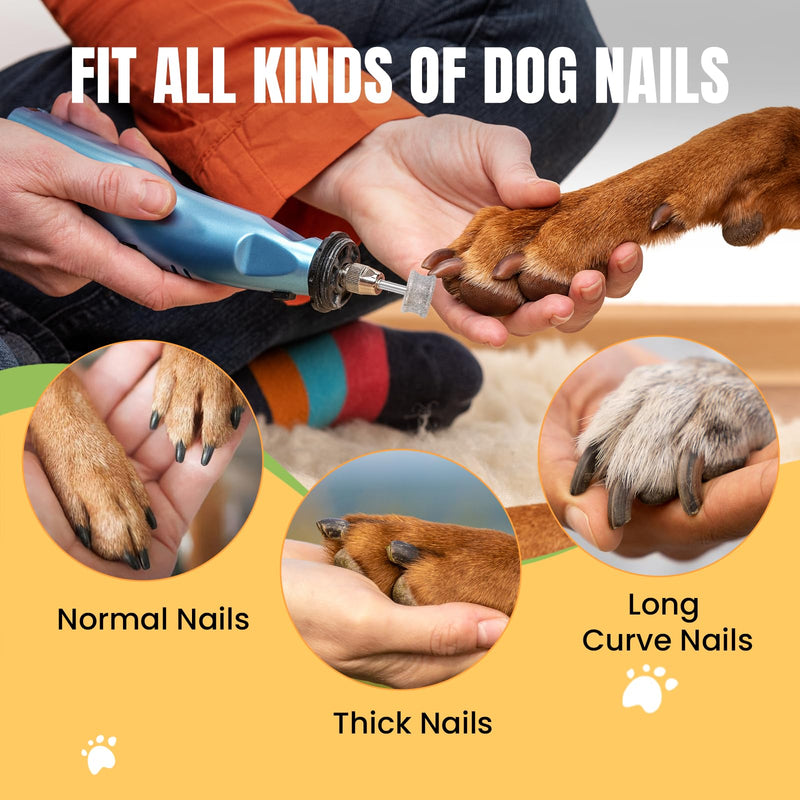 CAELUM Diamond-Coated Pet Nail Grinder Bit, 1/8” Shank for Dremel Nail Tools, Durable & Low-Noise Nail Trimmer for Dogs, Top & Side Grinding, Gentle, Precise Nail Grooming（80grit） 1pcs-80Grit - PawsPlanet Australia