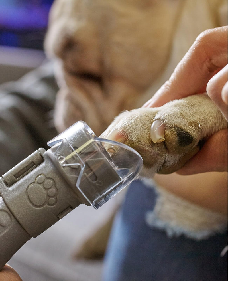 Dremel AT02-PGK Pet Grooming Attachment Kit for Grooming Your pet's Nails. Safe and Quiet pet Nail Grinder for use with Dremel Rotary Tool