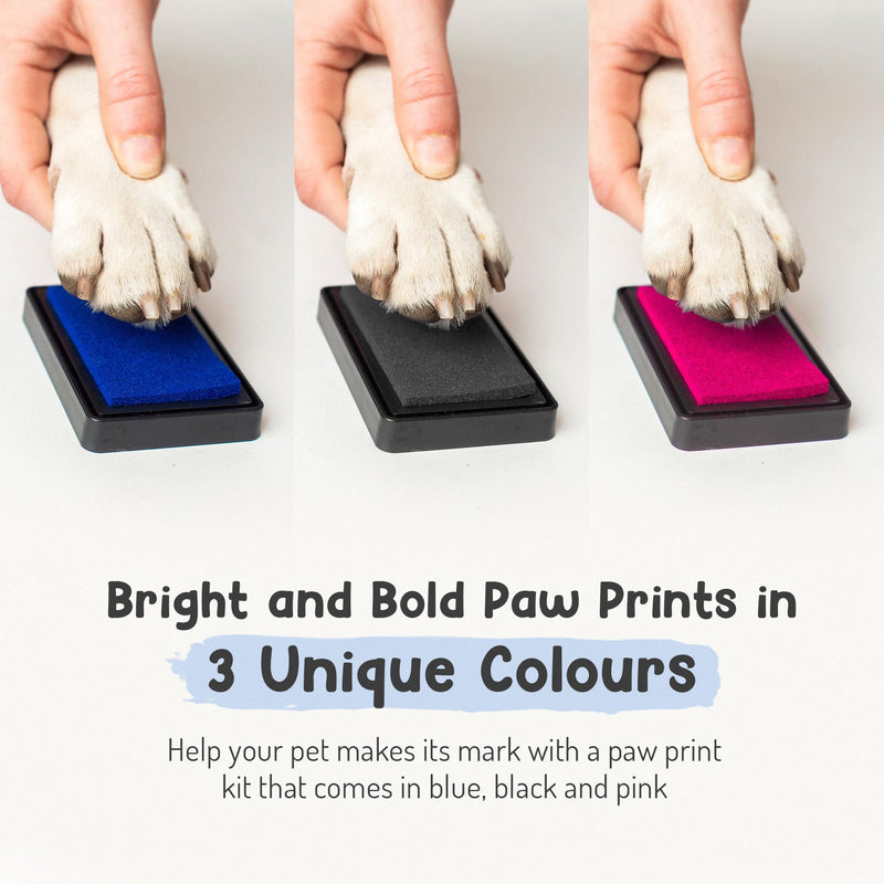 Pet Paw Print Impression Kit | Dog Ink Paw Print Kit | Pet Paw Print Kit | an Easy to Use Paw Print Stamp Pad for Dogs | Contains an Ink Pad for Dog Paw Prints That You Can Treasure (Black, Big) Black - PawsPlanet Australia