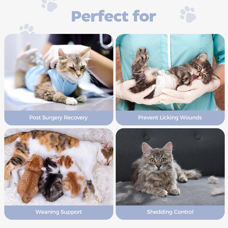 Avont Cat Recovery Suit Female Kitten After Spay Surgery, Breathable Modal Cotton Cat Onesie for Wound & Skin Disease Care, Machine Washable -Purple(M) Purple Medium