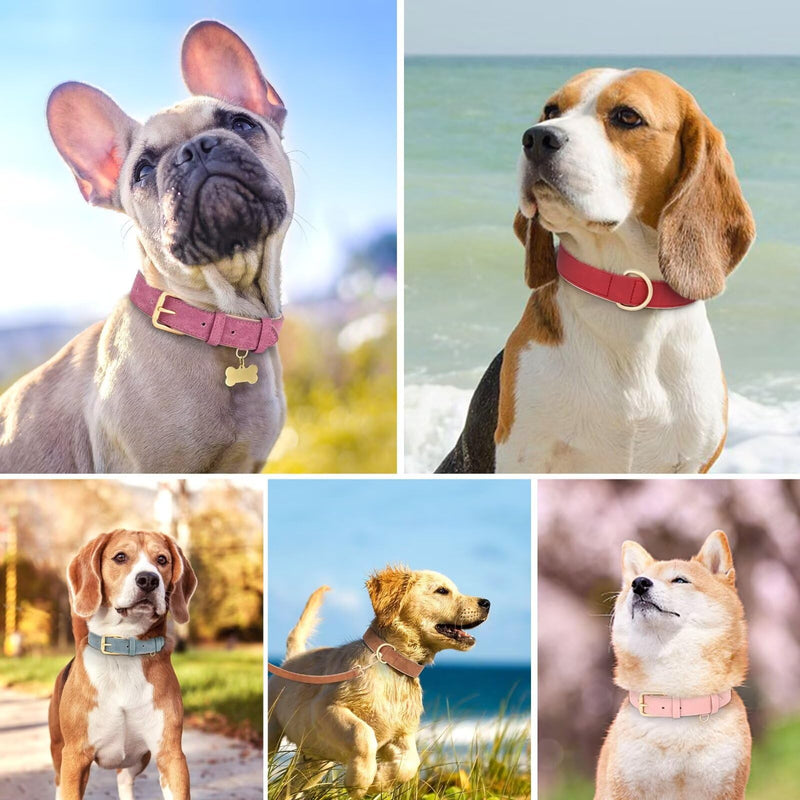 Didog Soft Padded PU Leather Dog Collar, Adjustable Dog Collars for Medium Dogs with Durable Metal Buckle and D Ring,Brown,L L: Fit Neck 13-17"(22-44lbs) Brown - PawsPlanet Australia