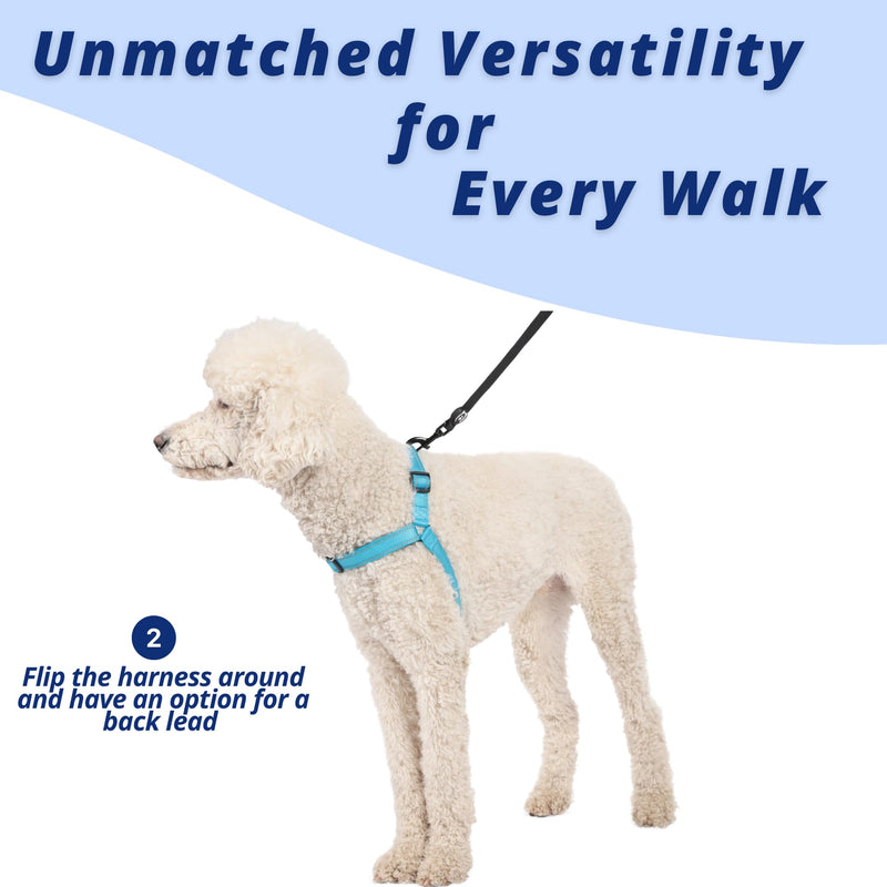ShawnCo Dream Walk Pro Dog Harness- No-Pull, Comfortable, Adjustable, Easy to Use Pet Halter to Help Stop Pulling for Small, Medium and Large Dogs (ICY Lilac, Medium) Icy Lilac - PawsPlanet Australia