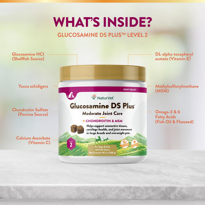 NaturVet – Glucosamine DS Plus - Level 2 Moderate Care – Supports Healthy Hip & Joint Function – Enhanced with Glucosamine, MSM & Chondroitin – for Dogs & Cats–120 Soft Chews Glucosamine-DS Level 2 120 Soft Chews