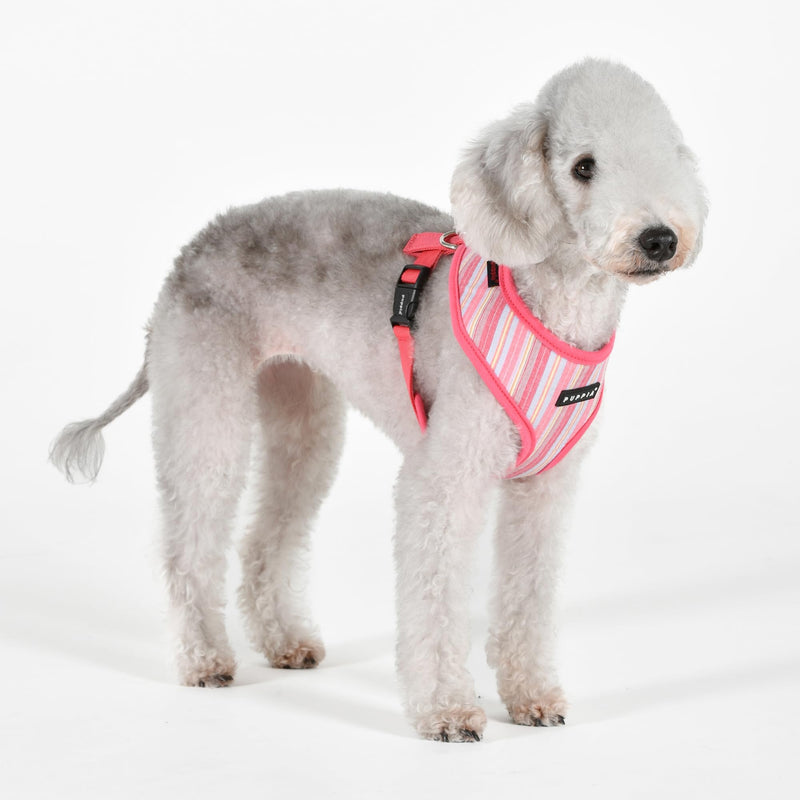 Puppia Theros Dog Harness A (Over-The-Head) Fashionable Striped Pattern Spring Summer Harness for Small and Medium Dogs, Pink, Small PINK_THEROS - PawsPlanet Australia