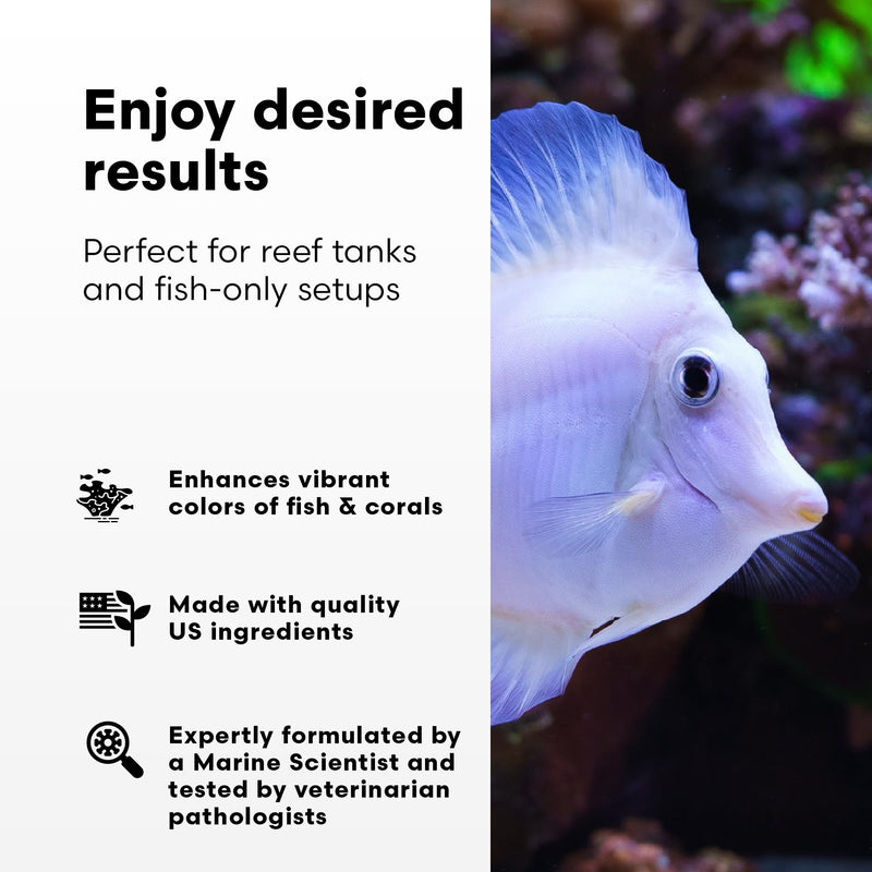 Brightwell Aquatics Rēplenish – Premium Trace & Minor Element Supplement for Marine Aquariums, Supports Healthy Fish, Corals, and Invertebrates, 250 ml 250-ml - PawsPlanet Australia