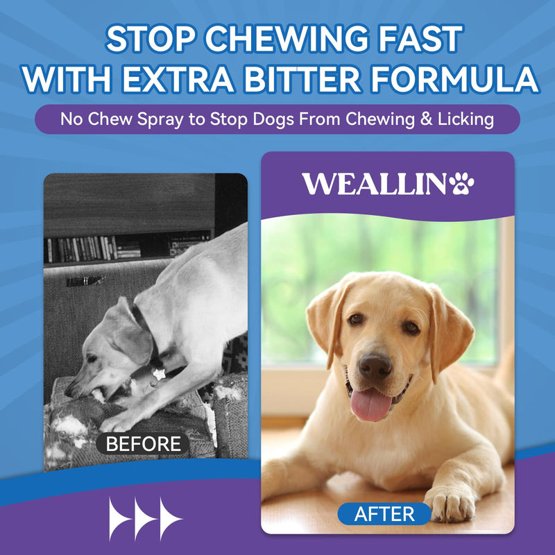 2 Pack No Chew Spray for Dogs, Bitter Apple Spray for Dogs Natural Training Aid for Dogs & Puppies, Stop from Chewing and Biting on Furniture, Shoes, Plants, Indoor & Outdoor Use, No Alcohol & Stain - PawsPlanet Australia