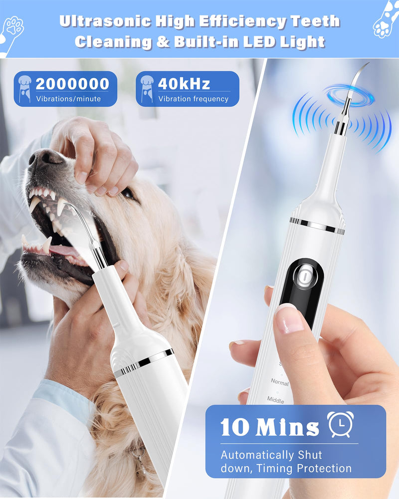 Plaque Remover for Teeth, Pet Tooth Brushing Kit, Dental Tools to Remove Plaque and Tartar, Safe for Dog and Cat, with LED Light, White - PawsPlanet Australia
