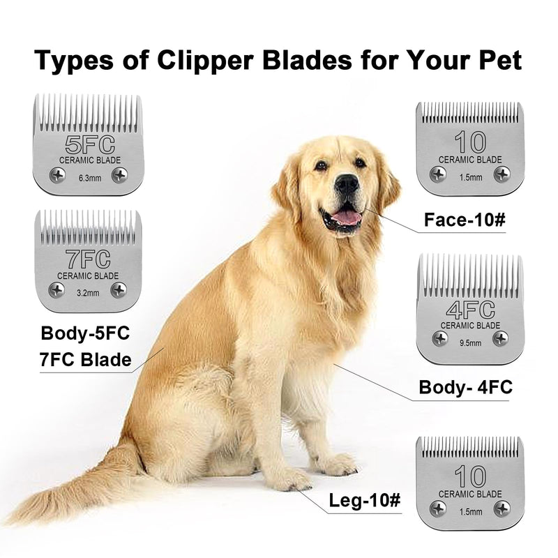 Detachable Pet Dog Clipper Blades, Compatible with Size-7FC Cut Length 1/8"(3.2mm), Most Oster A5, KM Series Clippers,Made of Stainless Steel Blade 1Pack 7FC1P - PawsPlanet Australia