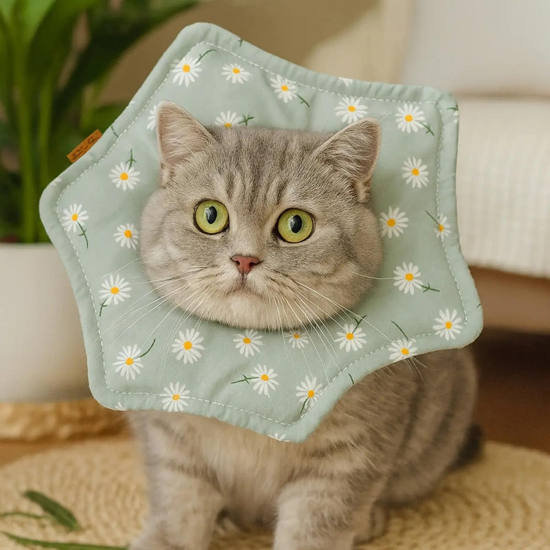 Adjustable healing collar, cat cone, soft and breathable, for kittens and puppies after surgery, lick protection, prevention and comfort, comfortable pet collar