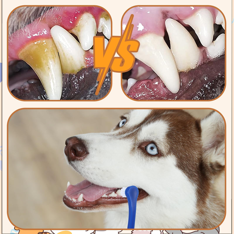 7Pcs Toothbrush for Dogs Small Breed,Round Soft Hair Small Dog Toothbrush,Dental Hygiene Pet Toothbrush to Clean Pet Teeth,Dog Tooth Brush for Small to Large Dogs, Cats, Most Pets, 7 Color - PawsPlanet Australia