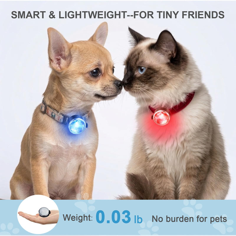 2-Pack Dog Collar Lights, Yesbular USB-C Rechargeable Dog Light Clip-On, Waterproof LED Pet Safety Light with Adjustable Silicone Strap for Night Walking, Camping(RGB 7-Color) RGB - PawsPlanet Australia