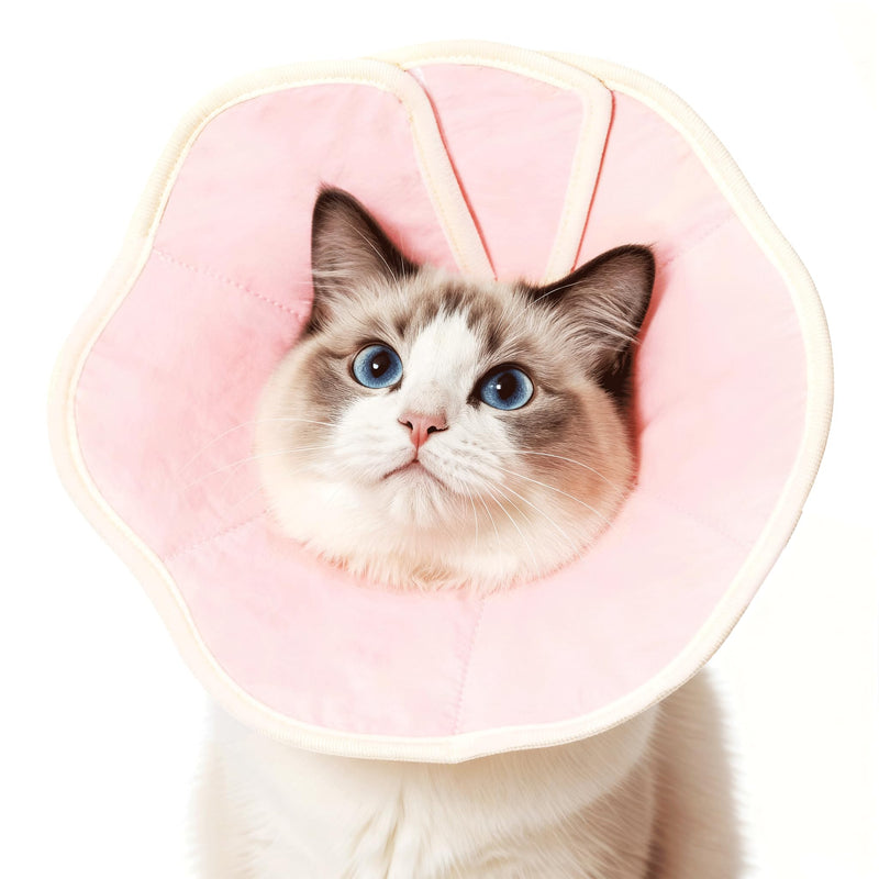 Soft Adjustable Cat Recovery Collar, Lightweight Waterproof Elizabethan Cone for Cats – Comfortable Protective Cat Cone to Prevent Licking After Surgery, Grooming & Skin Care (Pink, M) Pink