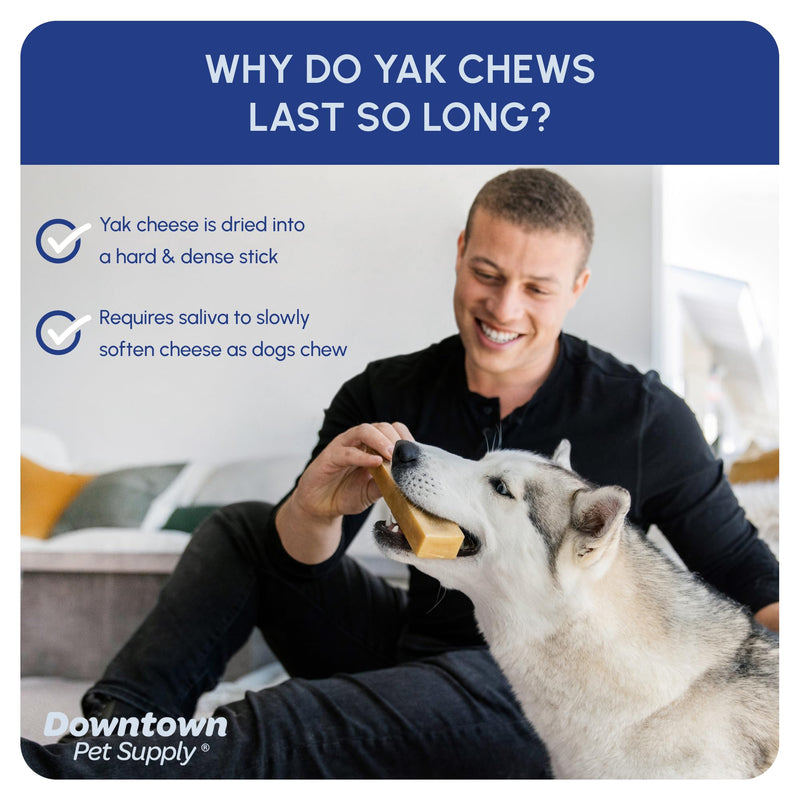 Downtown Pet Supply - Monster Yak Cheese Himalayan Dog Chews & Braided Bully Stick Dog Treats - Dog Dental Care & Plaque Remover for Teeth - Rawhide Free Dog Chews - Zinc, Calcium, Vitamin D - 1pk 1 Count (Pack of 1) - PawsPlanet Australia