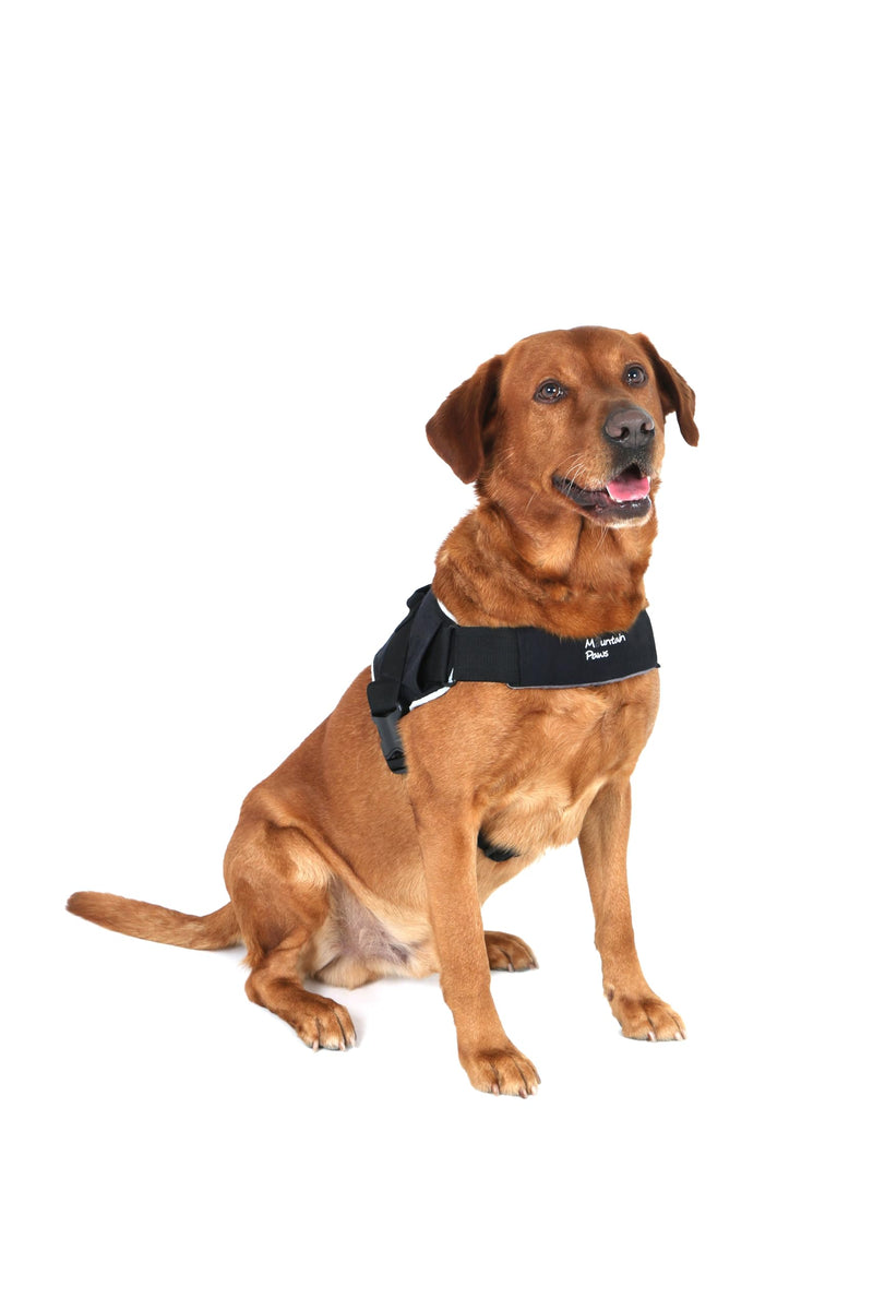 Mountain Paws Extra Tough Dog Harness | To Fit Chest Sizes 45–108cm, With Central Grab Handle And Reflective Piping Extra Large - PawsPlanet Australia