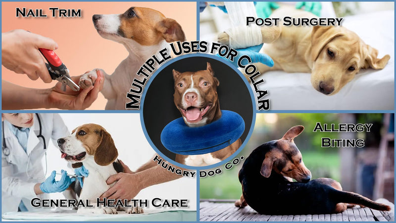 Hungry Dog Co.- Premium Inflatable Dog Collar for Dogs and Cats - Helps in Pet Recovery - Comfortable and Safe for Your Pet - Soft E-Collar – Blue, Medium (8”- 12” Neck) Medium (8”-12”Neck) - PawsPlanet Australia