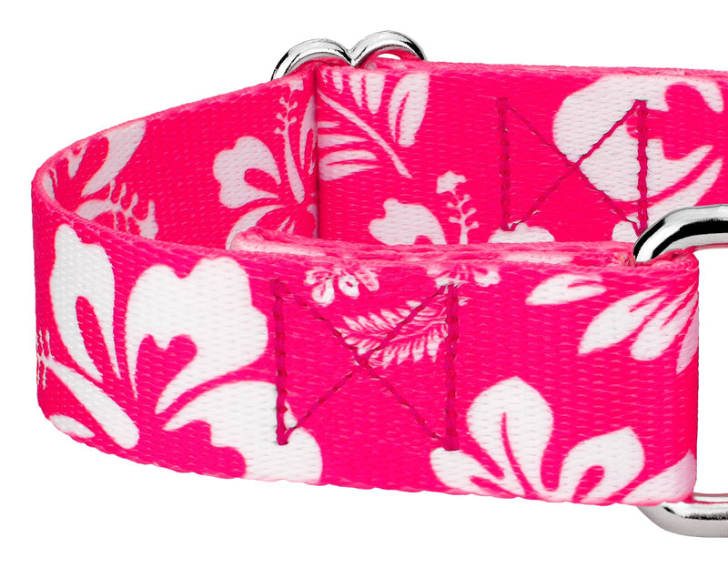 Country Brook Petz - Pink Hawaiian Martingale Dog Collar - Summer Breeze Collection Featuring Sunny Designs (1 Inch, Medium)