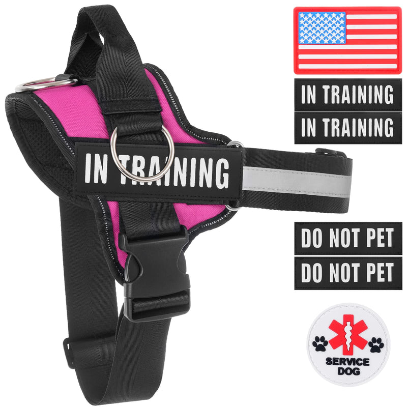 Essential Dog Harness, No Pull Pet Harness with 3 Side Rings for Leash Placement, No Choke, Reflective, Adjustable Pet Vest, Easy On-Off & Improved Control Handle, Training, Walking, Running L(Neck:19-26",Chest:25-33") Rose - PawsPlanet Australia