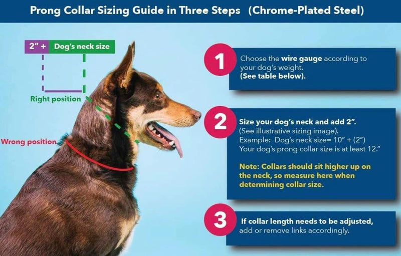 Herm Sprenger Prong Collar for Dogs Training – Quick Release Buckle & Swivel Ring for Easy Use – Made of Durable Steel Chrome Plated in Germany– 4.0mm Prongs for Large Dogs with 20-26" Neck - PawsPlanet Australia