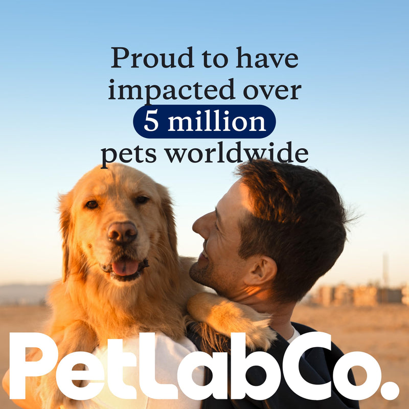 PetLab Co. Allergy & Immune Daily Probiotics for Dogs. Supports Yeast Production, Seasonal Allergies, Intermittent Itchiness, Gut & Digestive Health for Medium Size Dogs, Packaging May Vary Medium Dogs