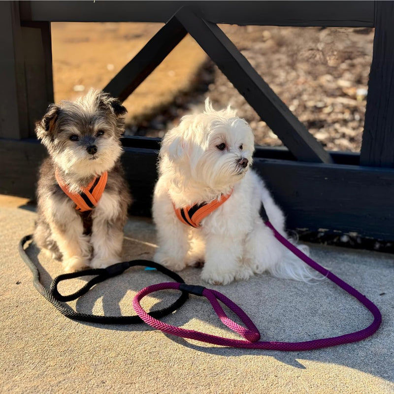 Gooby Mesh Leash - Blue, 4 FT - Breathable Mesh 4 Foot Leash for Small Dogs with Bolt Snap Clasp - On The Go Dog Leashes for Small, Medium, and Large Dogs 4 Feet - PawsPlanet Australia