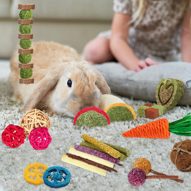 Rabbit Toys Bunny Chew Toys for Teeth, Hamster/Guinea Pig Toys Natural Timothy Hay Sticks Treats Balls and Apple Wood Sticks for Chinchilla, Guinea Pig, Hamster Pet Chew and Play Bundle