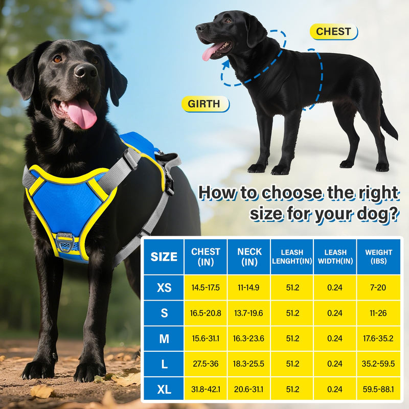 No Pull Dog Harness, 2 in 1 Retractable Harness with Auto-Lock, Reflective Breathable Mesh and Handle, Adjustable Leash Set for Small, Medium,Large Dogs,Cats (Color 2, XL) COLOR 2