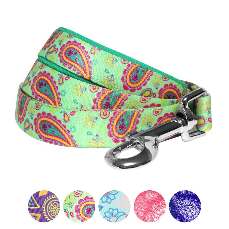 Blueberry Pet 5 Colors Paisley Flower Print Dog Leash with Soft & Comfortable Handle, 5 ft x 3/4", Emerald Green, Medium, Leashes for Dogs 5' * 3/4" (Pack of 1) - PawsPlanet Australia