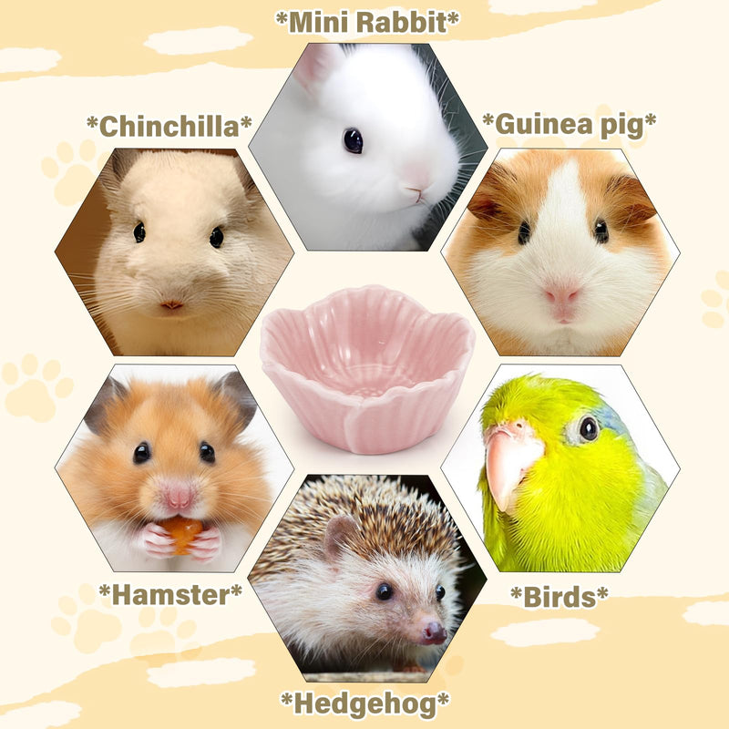 Small Ceramic Pet Hamster Bowl, Easy to Clean Anti Flipping Hamster Food and Water Bowl Feeding Bowl, Small Animal Bowls for Golden Bears, Rabbits, Hedgehogs, Dutch Pigs, Parrots (Pink, s) Pink - PawsPlanet Australia