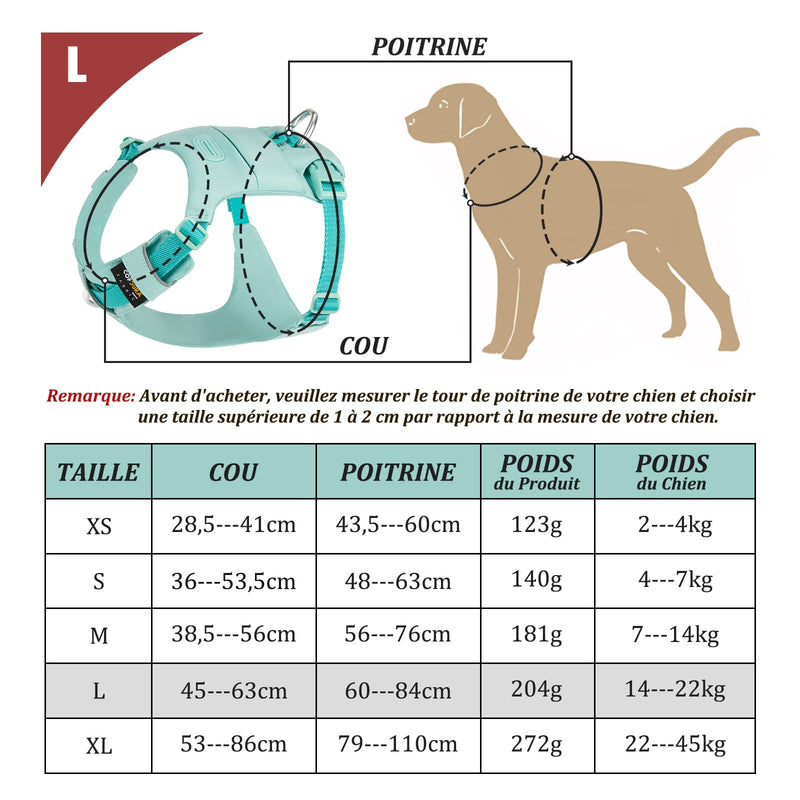 Adjustable Dog Harness Comfortable Vest in Durable Nylon with Strong Buckles, Ideal for Walking, Training, Travel, Outdoor, Small Medium Large Dogs, Green, L Lake green - PawsPlanet Australia