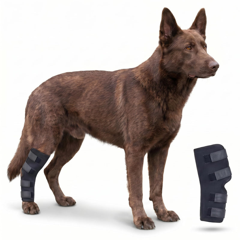 Dog Knee Braces for Back Leg, Dog Leg Brace Back Leg Support, Dog ACL Brace Hind Leg, Dog Knee Brace for ACL Tear Back Leg, Hip Dysplasia Brace, Hind Leg Support for Senior Dogs (Black, S) Black