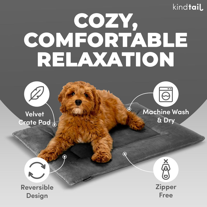 KindTail Dog Crate Pad - Soft Velvet, Reversible Bed - Machine Washable Kennel Mat for Pets up to 15 lbs, Mattress for Cozy Sleeping - 20” x 15” x 1” (Light Blue, Small) 20.0"L x 15.0"W x 1"Th Light Blue - PawsPlanet Australia