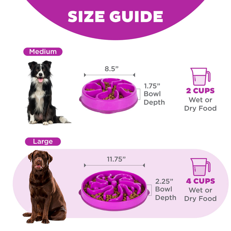 Outward Hound Fun Feeder Slo Bowl, Large Slow Feeder Dog Bowl, 4 Cups, Purple - PawsPlanet Australia