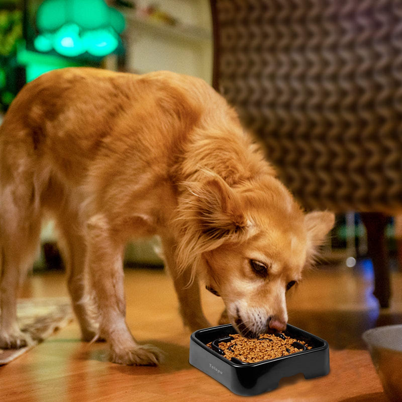 Extra-Large Durable ABS Large Slow Feeder Dog Bowls(10 Cups Capacity) Stop Bloat Bowl Anti-Choking &Anti-Gulping & Fun Feeding Bowl (Large, Black) - PawsPlanet Australia