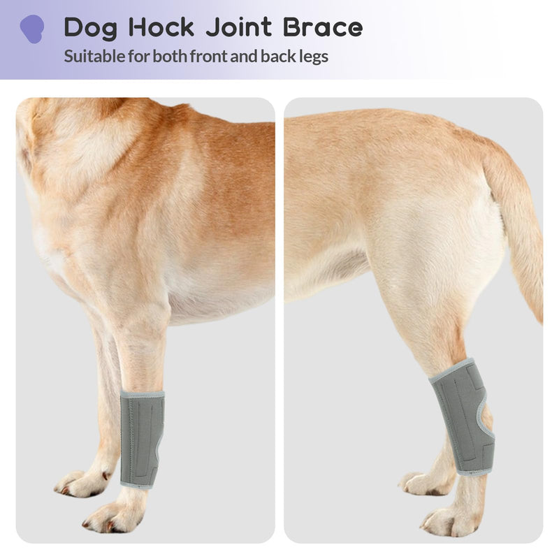 PUMYPOREITY 2Pcs Dog Rear Leg Hock, Joint Brace Hind Leg Wrap Protector and Extra Supportive, LegHock Joint Compression Sleeve for Wound Injury and Sprain Healing of Arthritis(Grey, M) 2Pcs-Grey