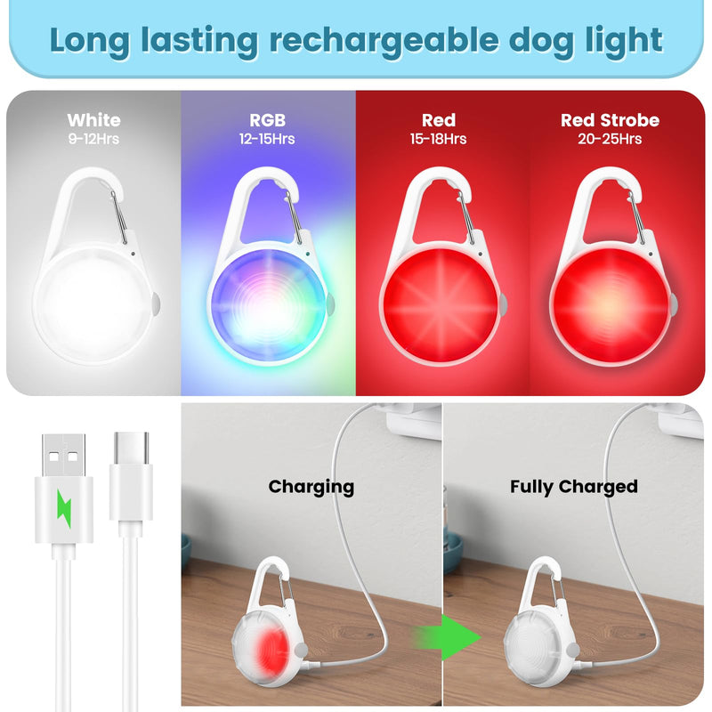 2Pack Dog Lights for Night Walking Dog Collar Light Clip on Glow in The Dark with 4Modes & RGB Color for Camping - PawsPlanet Australia