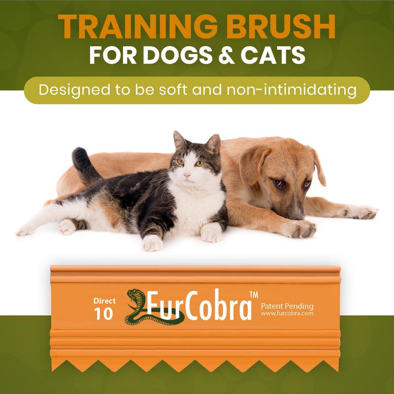 Direct 10 Pet Grooming Brush 3.54" - Gentle, No Metal Blades, Soft Dog, Cat Brush - Train Pets to be Brushed - Portable, Easy To Use Slicker Pet Grooming Tool for Dog, Cat, Puppy, Kitten Hair - PawsPlanet Australia