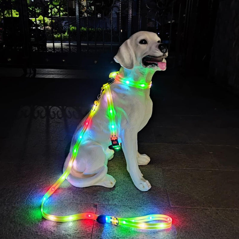 Light Up Dog Harness for Medium Dogs Lighted Dog Harness Rechargeable Waterproof Illuminated Glow in The Dark Light up Dog Vest LED - PawsPlanet Australia