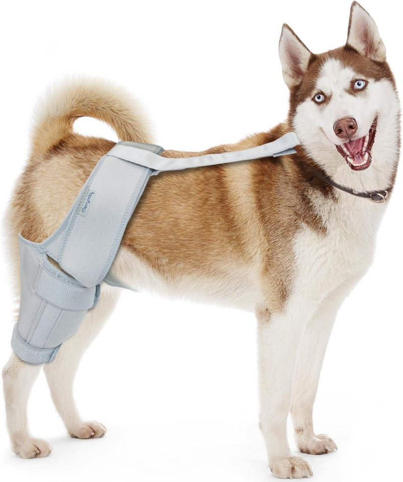 Dog Knee Brace for Torn ACL – Rear Leg Support for Ligament Injuries and Joint Pain Relief, Size: Large(10.2-13.3)