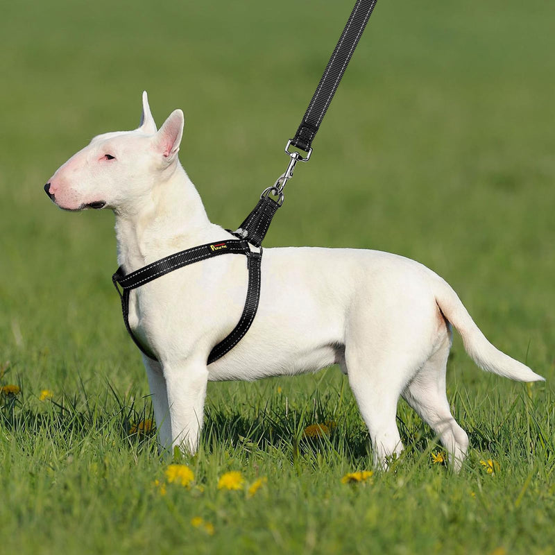 Plutus Pet Step in Dog Harness, Reflective, Adjustable, and Secure with Metal Buckles, Quick Fit Dog Harness for Puppy, Small, Medium and Large Dogs, Black, L - PawsPlanet Australia