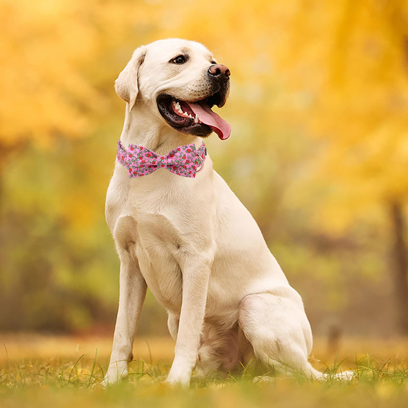Unique style paws Summer Dog Collar With Bow Tie Strawberry Puppy Collars Harnesses & Leads For Dogs Uk Pink Soft Adjustable Cute Flower Comfortable Collars Pet Gift For Small Medium Large Dogs XL Pink Strawberry