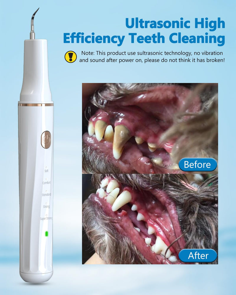 Hansaplast Plaque Remover for Teeth, Dog Teeth Cleaning, Dental Tools to Remove Tartar and Stains, Safe for Dogs & Cats, with Led Light & 5 Adjustable Modes (A-White) (A-White) A-White - PawsPlanet Australia