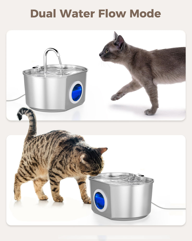 Cat Water Fountain Stainless Steel: 74oz/2.2L Cat Fountain for Drinking- Pet Water Fountain Inside - Automatic Dog Watering Dispenser Bowl - Pet Feeding & Watering Supplies - Water Level Window 74oz Cat Fountain + 1 Filter - PawsPlanet Australia