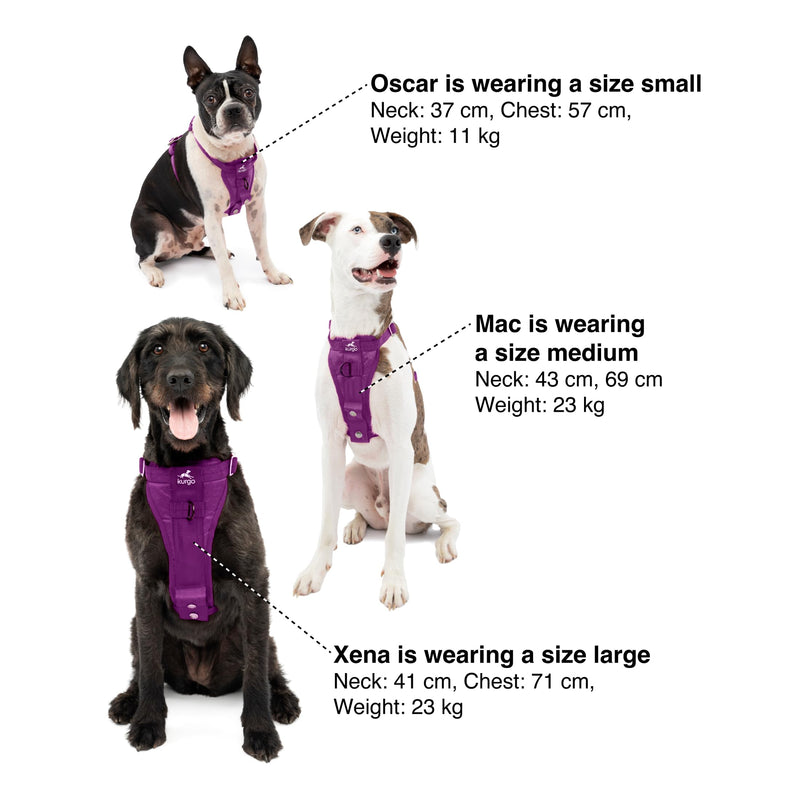 Kurgo Enhanced Strength Tru-Fit Dog Car Harness - Pet Travel Safety Harness - Crash Test Certified Fit - Five Point Adjustment - Secure Buckle - Padded Chest - Deep Violet - Large - PawsPlanet Australia
