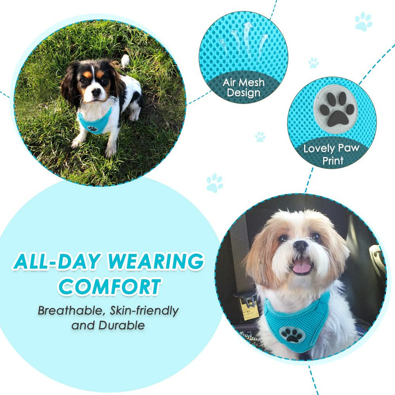 SlowTon Dog Seat Belt Harness for Car, Dog Car Harness Adjustable Mesh Breathable & Dog Seatbelt Safety Tether with Elastic Bungee for Small Medium Large Pets(Light Blue, Double Clip, L) D-Light Blue - PawsPlanet Australia