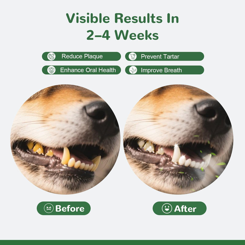 Dog Teeth Cleaning Powder, Dental Powder for Dogs Teeth Tartar Remove & Plaque Off, Fresh Breath for Dogs with Natural Plants Blend, Enzymes and Postbiotics, 300g - PawsPlanet Australia