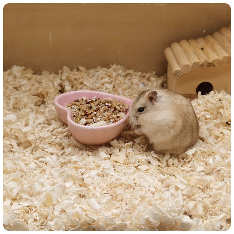 Ceramic Hamster Food Bowl, 1.2oz Durable Heart Hamster Water Dish for Hamsters/Birds/Snakes/Turtle, Easy to Wash and Prevent Tipping (Pink, 1pcs) 1pc Pink - PawsPlanet Australia